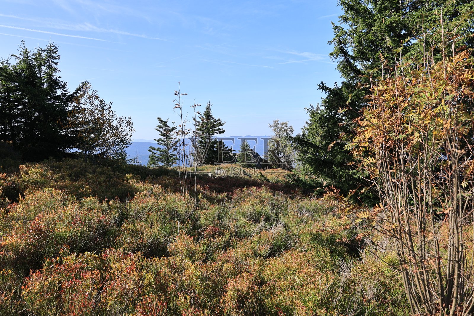 巴伐利亚森林里大奥瑟的秋天照片摄影图片