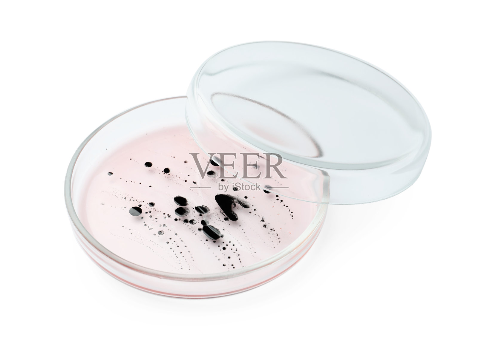 白色背景上有细菌的培养皿照片摄影图片