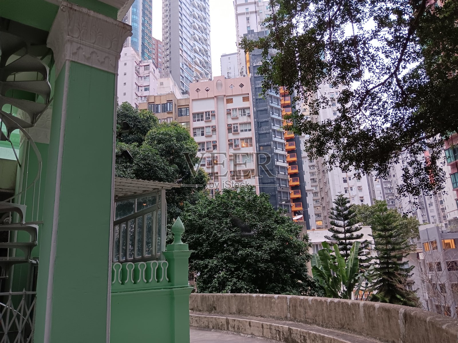 贾米亚清真寺的景观是常青树和山坡上的住宅摩天大楼照片摄影图片