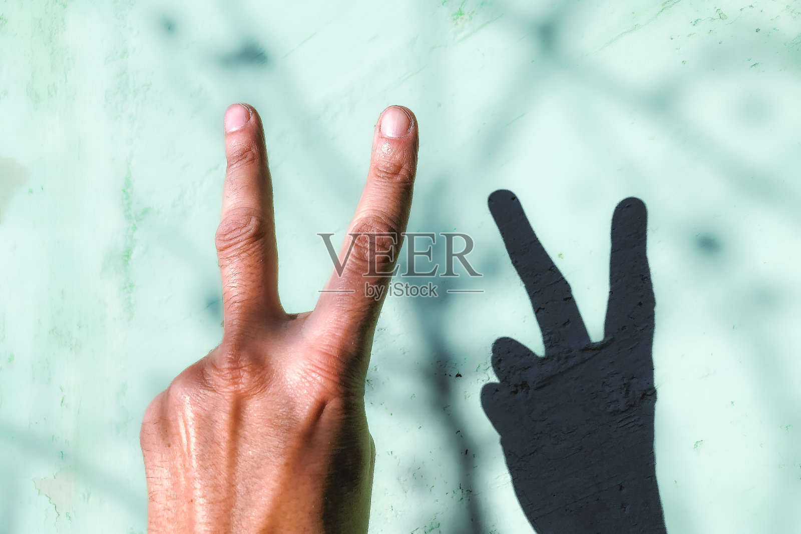 一只手和它投在墙上的影子——多样性和平等的概念照片摄影图片