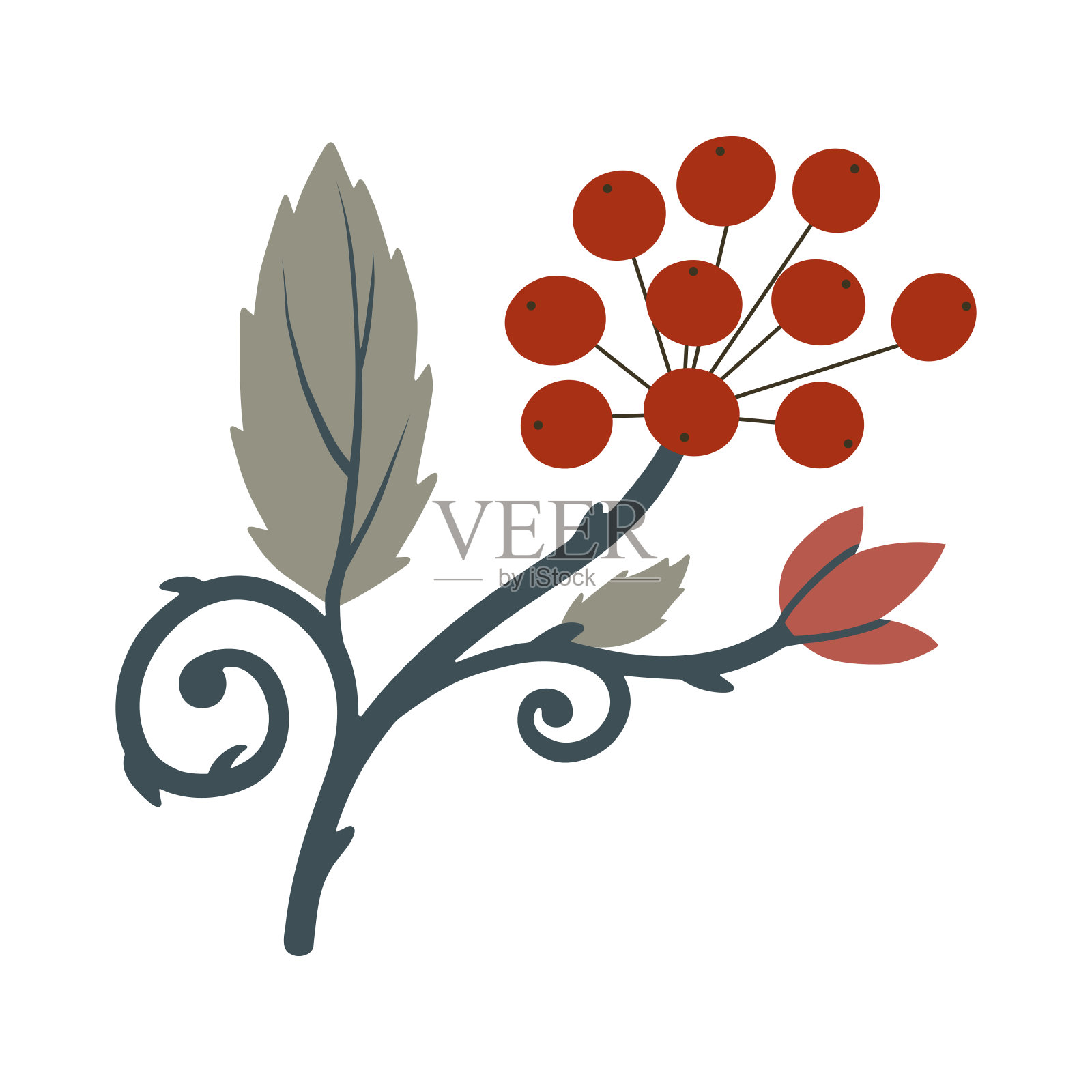 冬枝上装饰有红色的浆果,花。复杂的花卉矢量插图插画图片素材