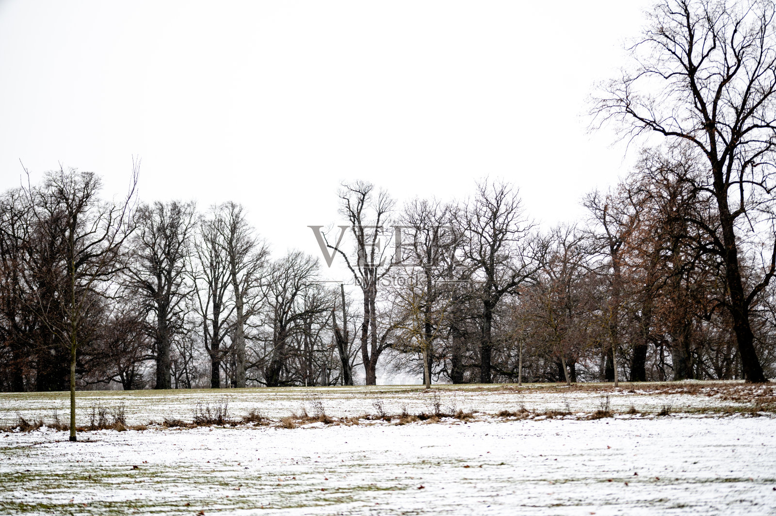 冬天,下雪的公园照片摄影图片
