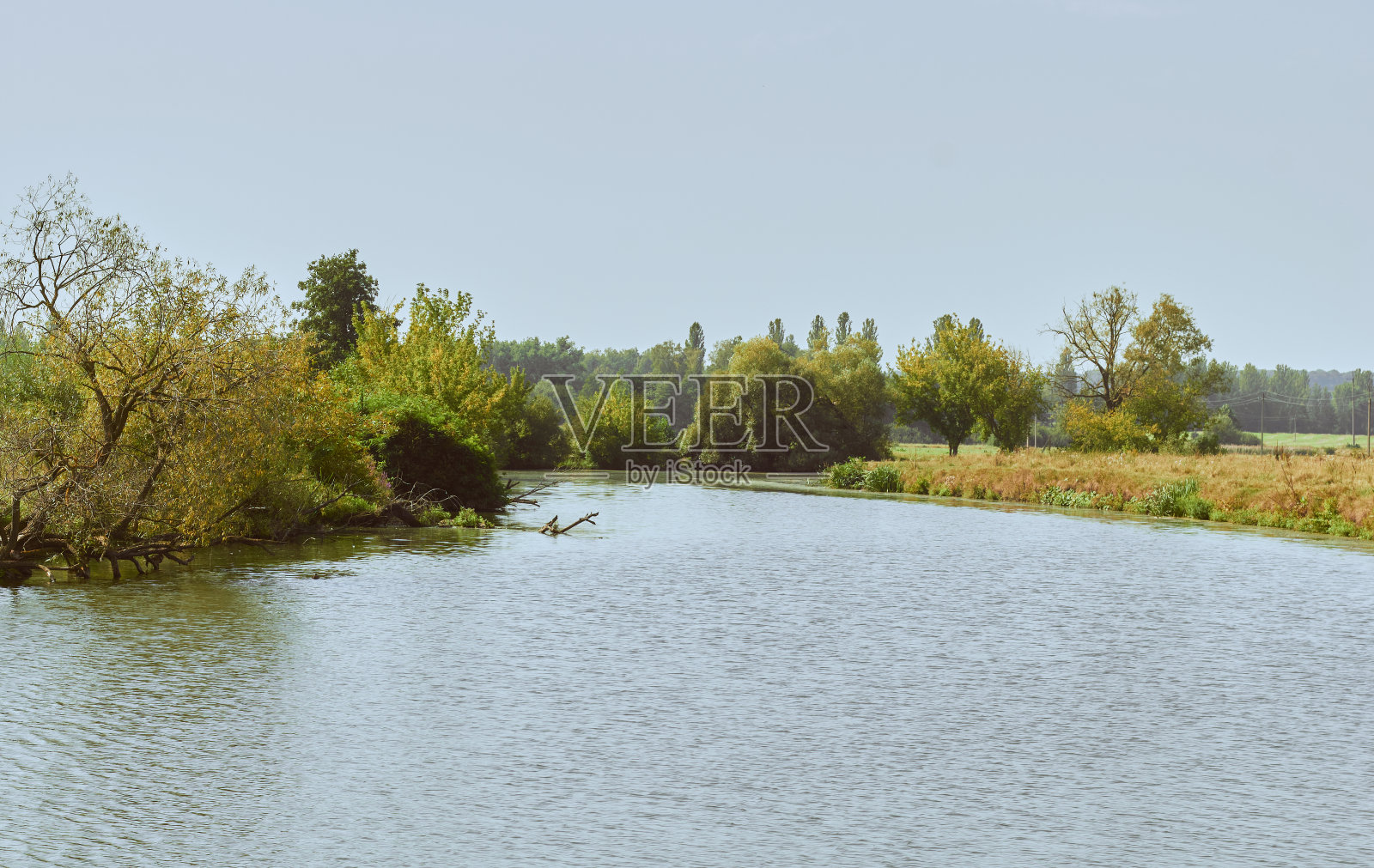 河流在美丽的自然之中。河,河岸边有树和绿草。夏天。照片摄影图片