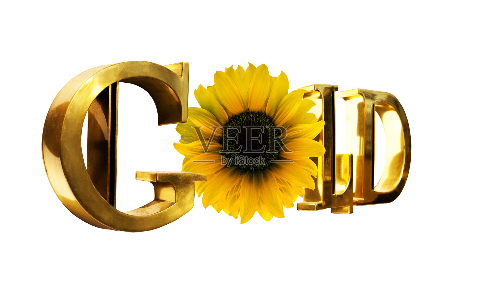 这个词是金色的,上面有向日葵的金色字母照片摄影图片