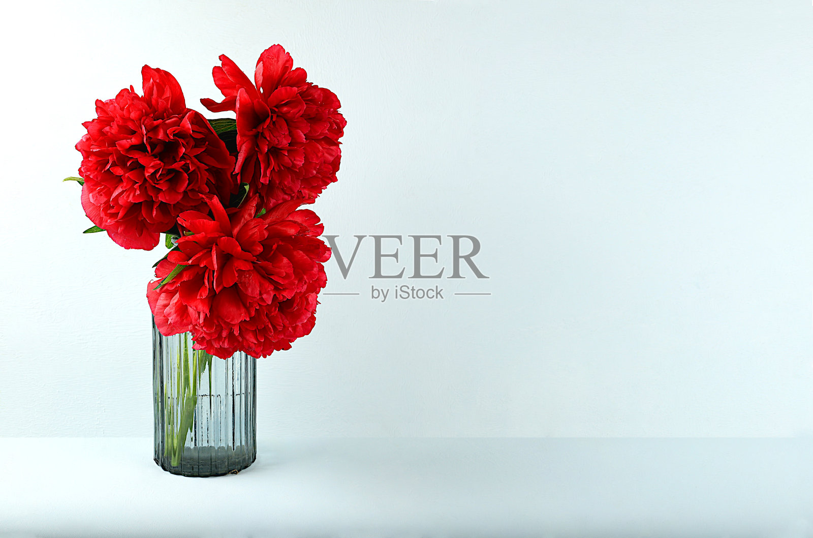 抽象的花卉构图,家居室内用美丽的春天牡丹在花瓶,横幅,静物与文字空间,花卉节日贺卡,照片摄影图片