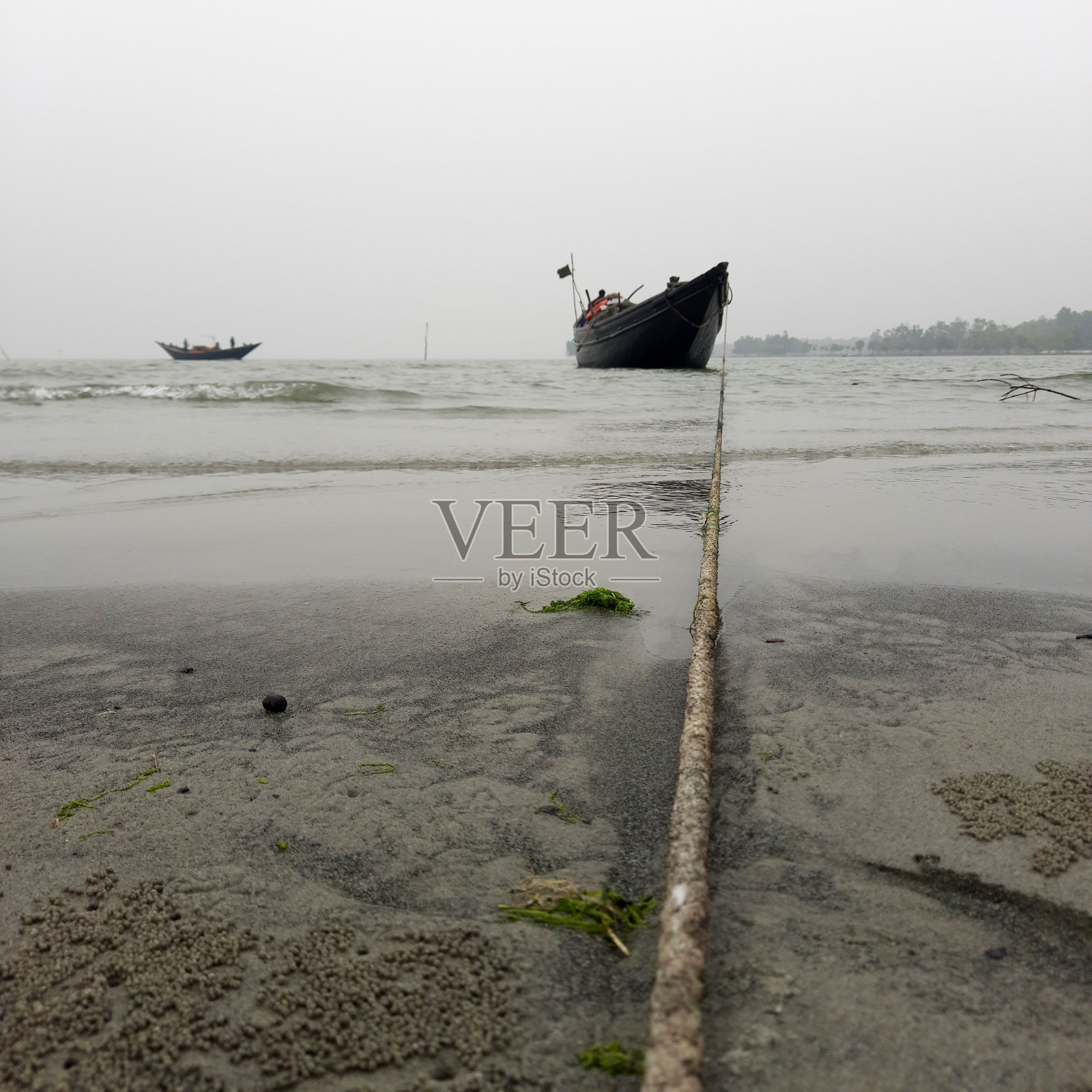 沙滩上的板球照片摄影图片