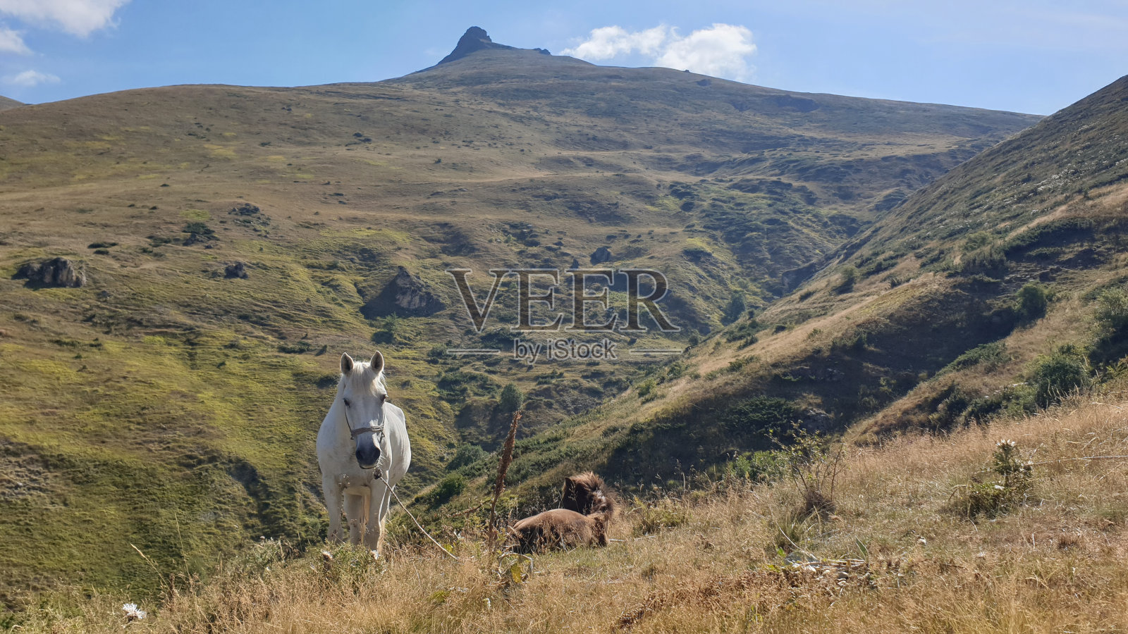大自然的威严:徒步旅行和山地冒险照片摄影图片