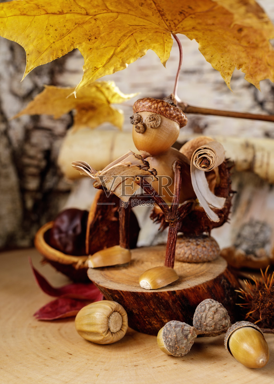 在一片秋叶的伞下,一个快乐的小橡子人。孩子们的艺术创意,居家时间的爱好照片摄影图片