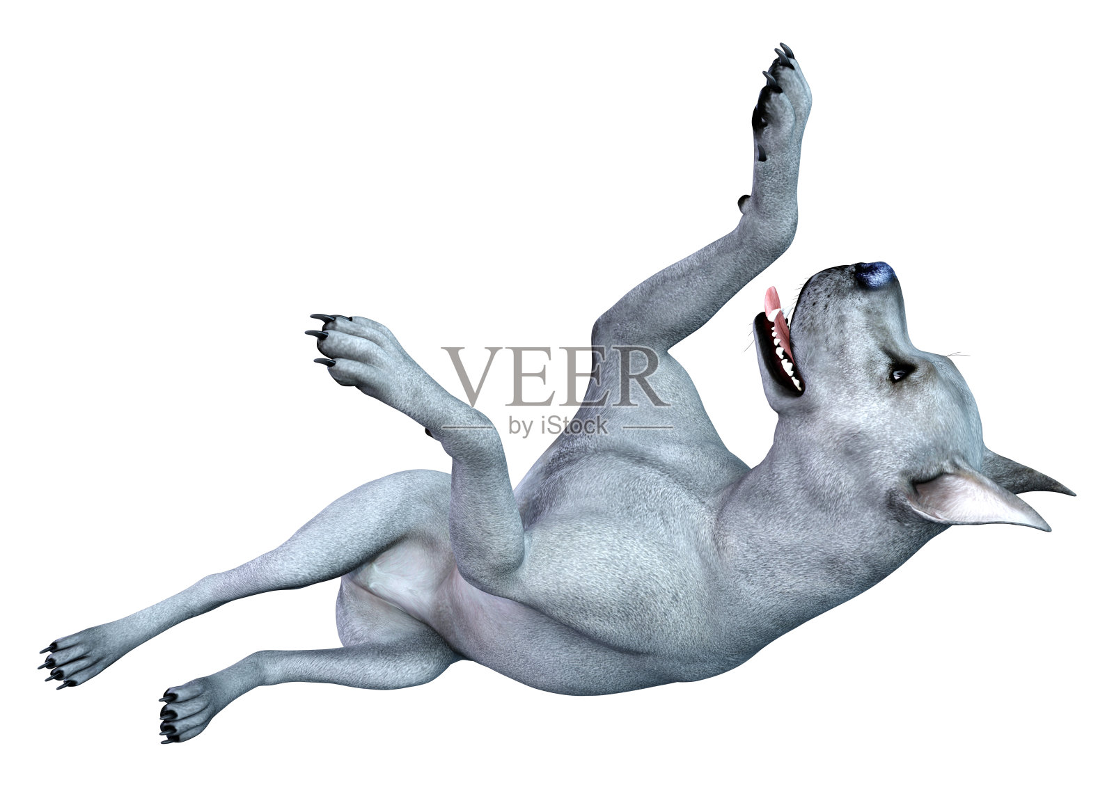 蓝色大丹犬在白色上的3D渲染照片摄影图片