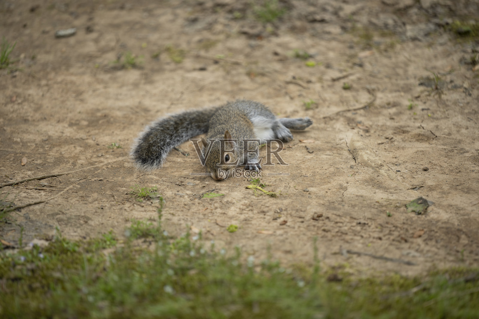 早春阳光明媚的一天,南州湿地照片摄影图片