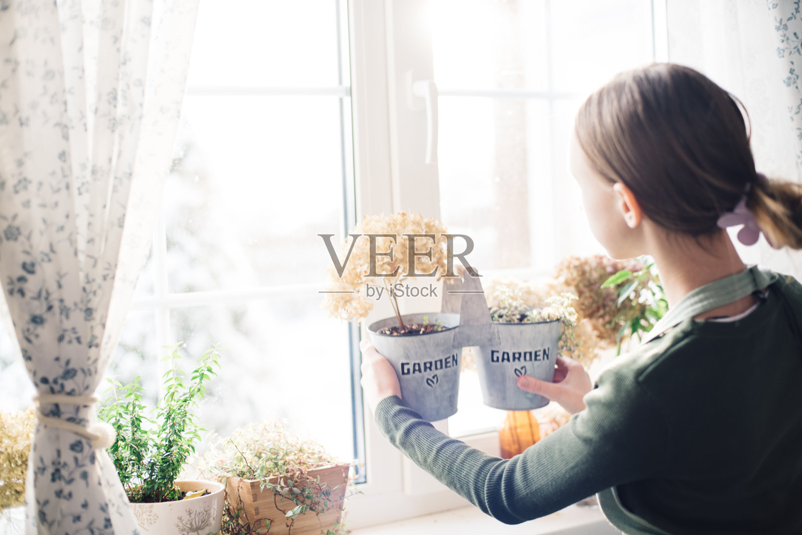 窗边的一个女孩手里拿着一朵干绣球花照片摄影图片