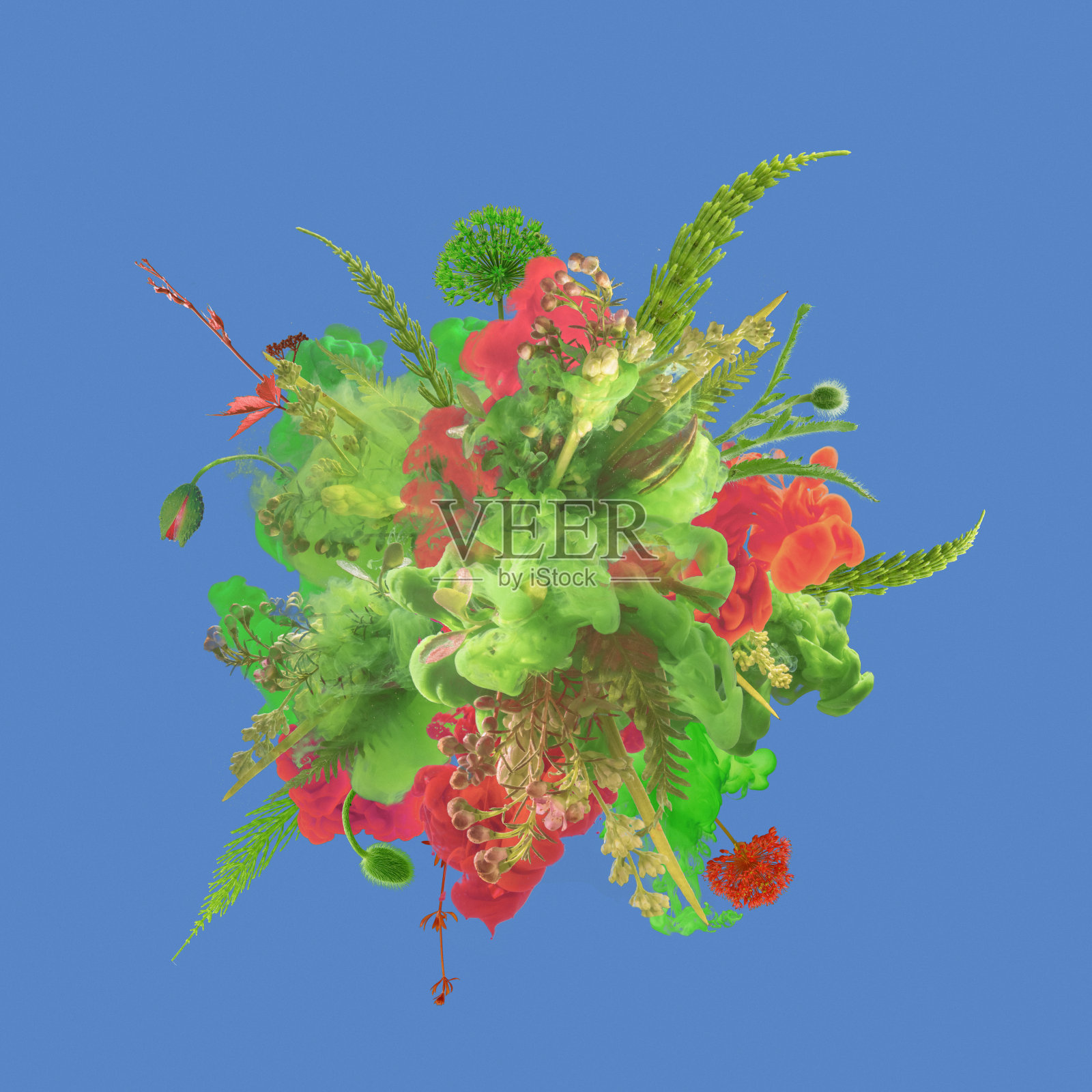 抽象爆炸与花和绿色植物的油漆照片摄影图片