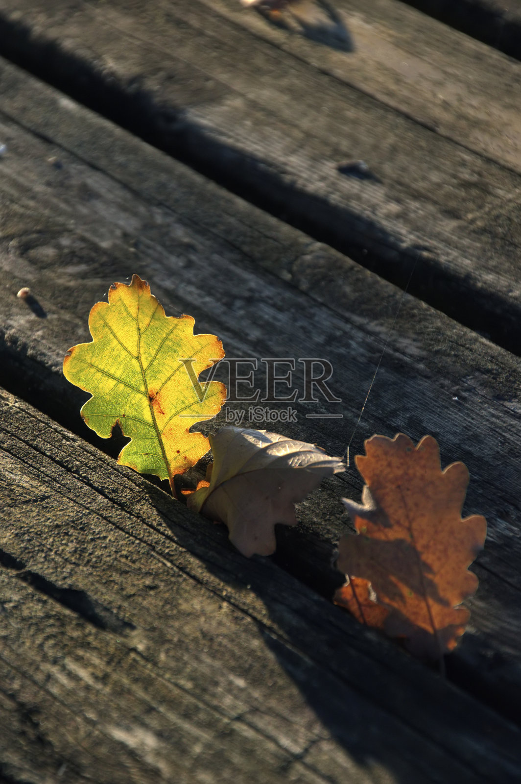 天空中有一朵奇怪的云照片摄影图片