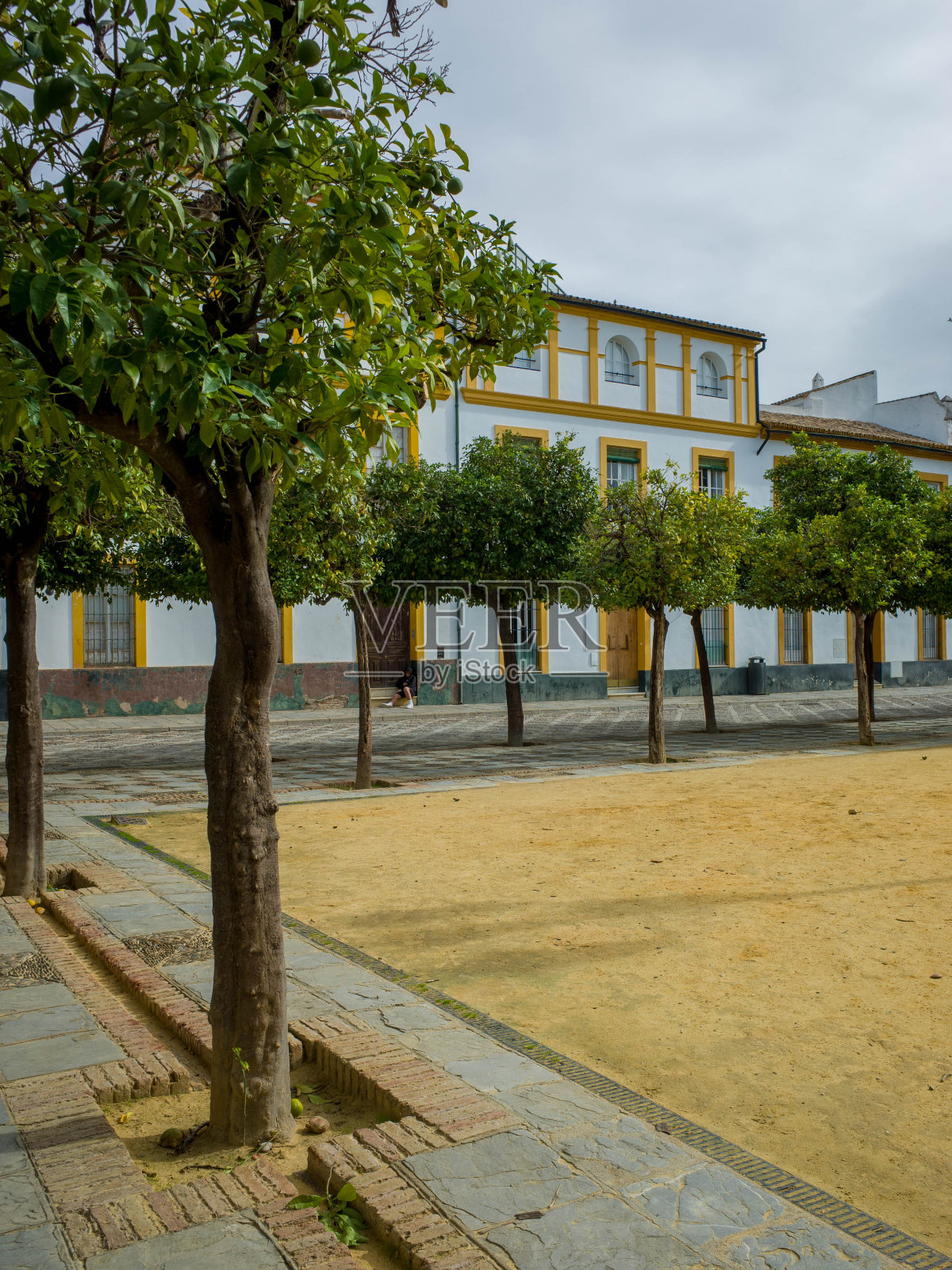 位于塞维利亚的露台照片摄影图片