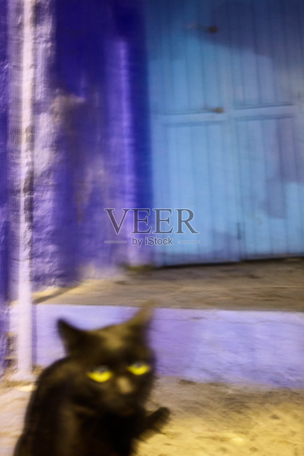 在摩洛哥舍夫沙万的街头猫与长曝光运动模糊的夜晚照片摄影图片