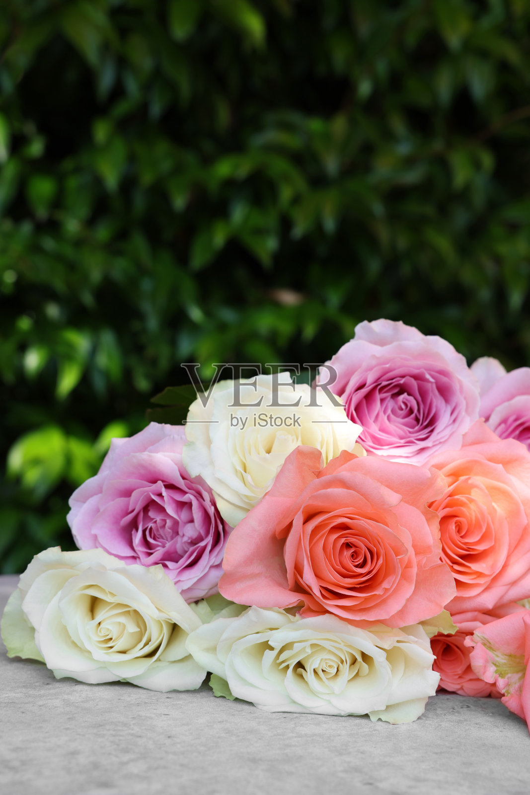 户外浅灰色的桌子上放着一束美丽的玫瑰,特写照片摄影图片