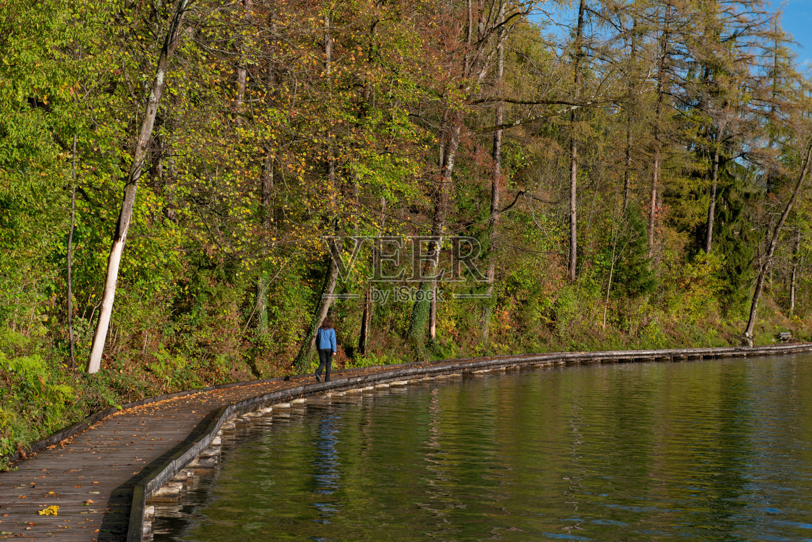 在秋天的早晨淌着血照片摄影图片