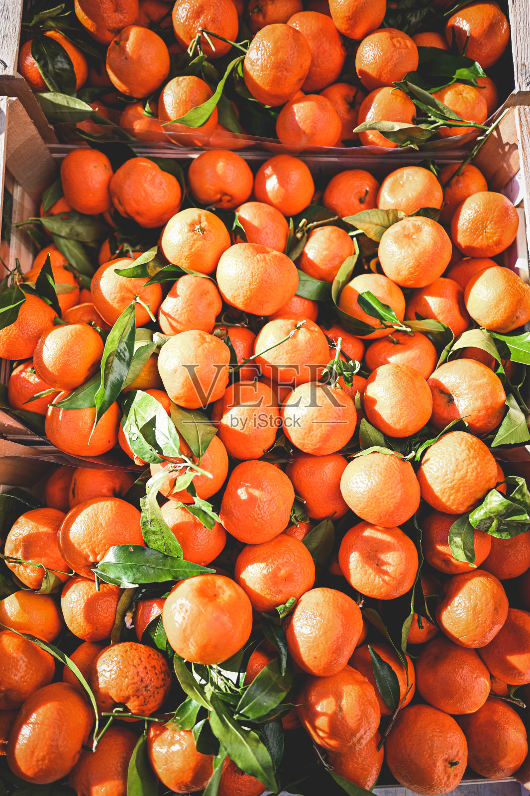 盒子里的熟透的新鲜橘子。照片摄影图片