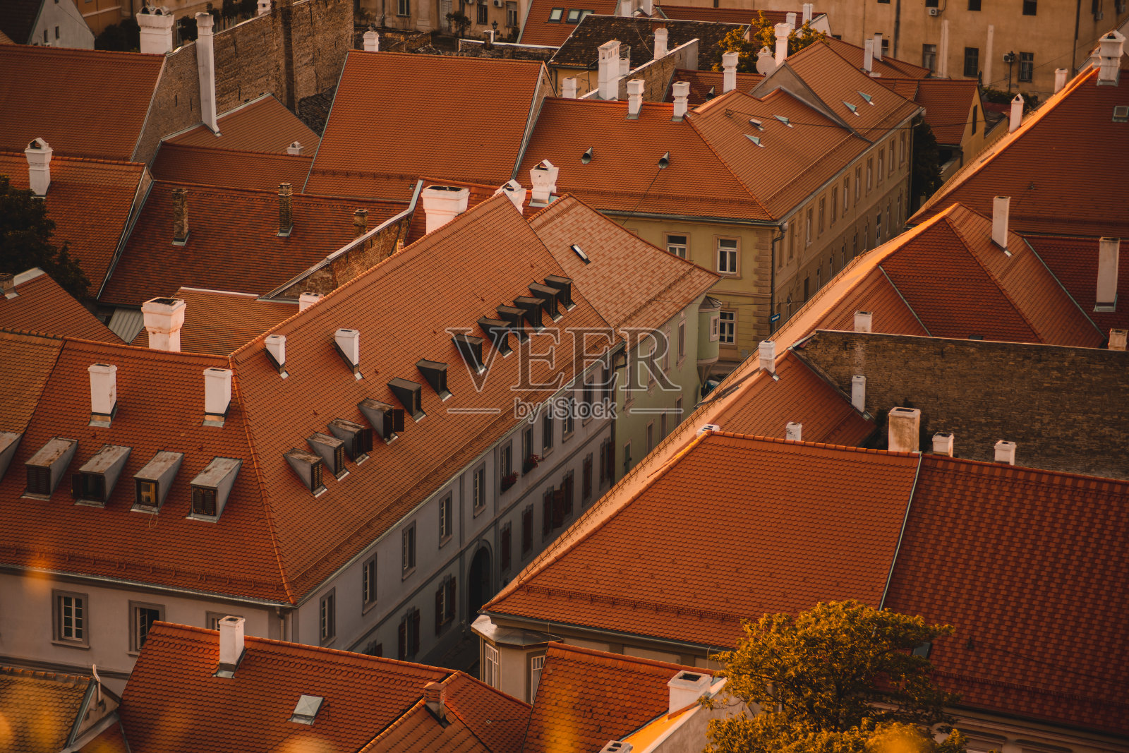 橙色的屋顶照片摄影图片