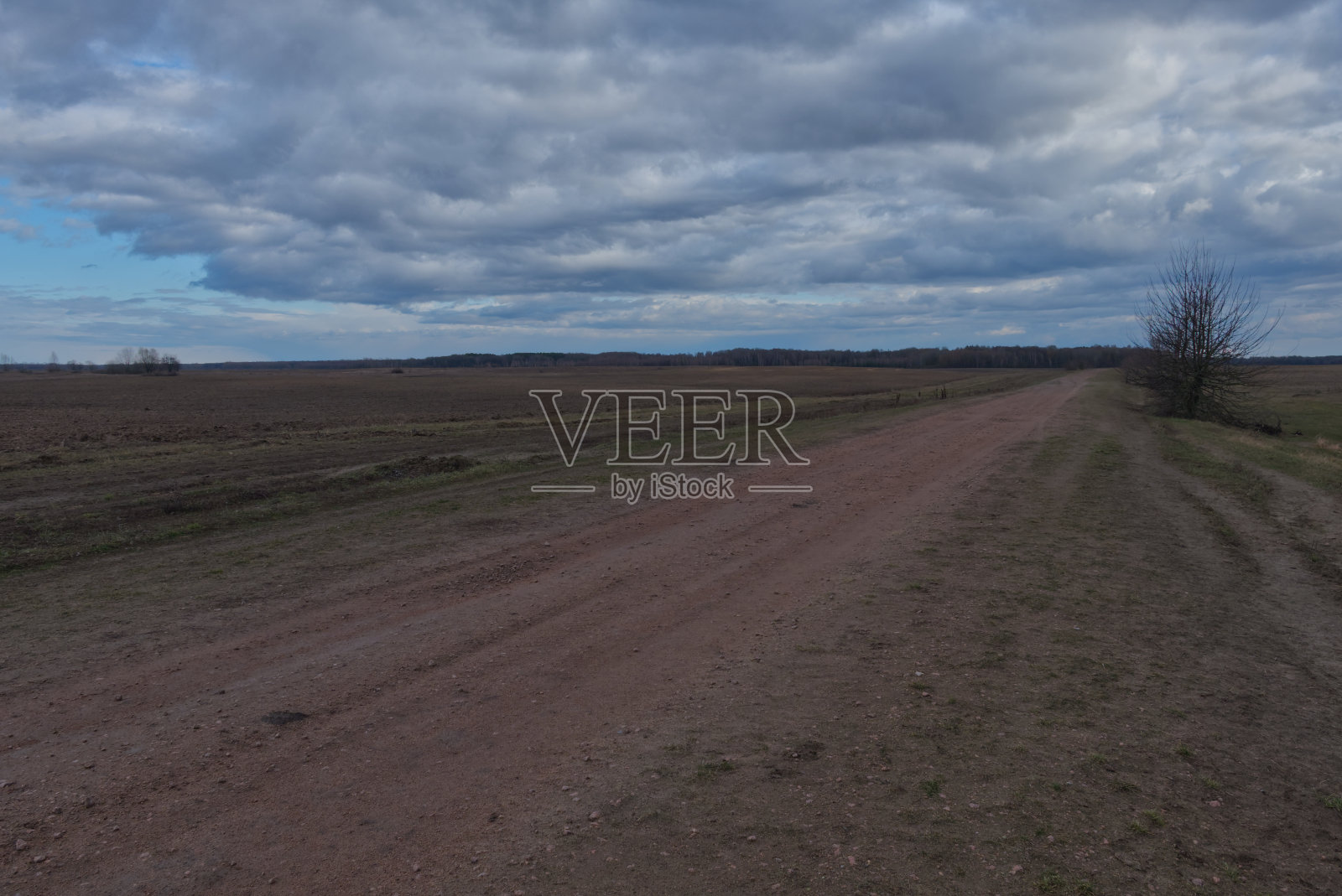 傍晚田野间的一条土路。秋天的风景。照片摄影图片