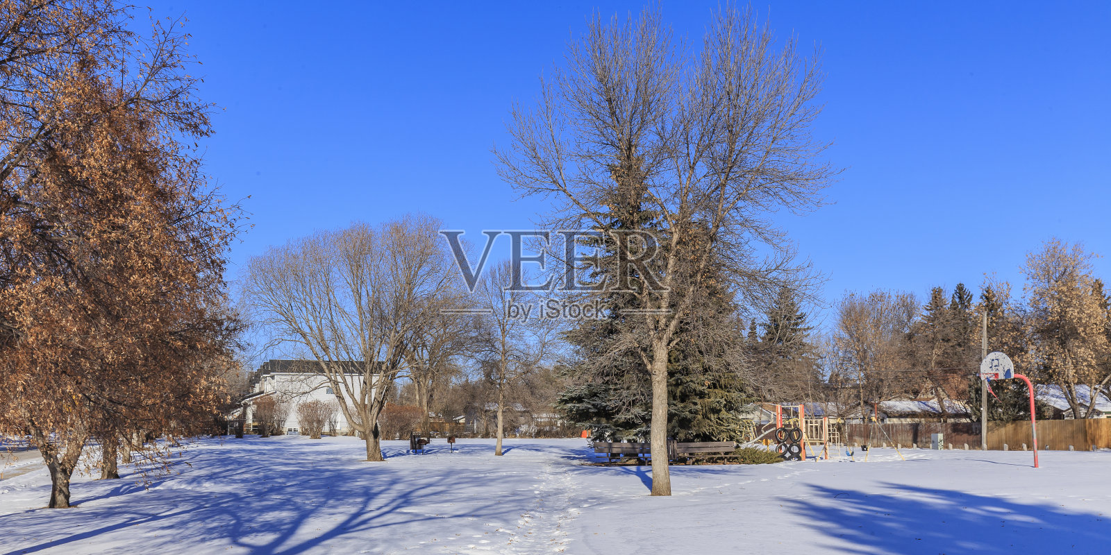 D.L.汉密尔顿公园照片摄影图片