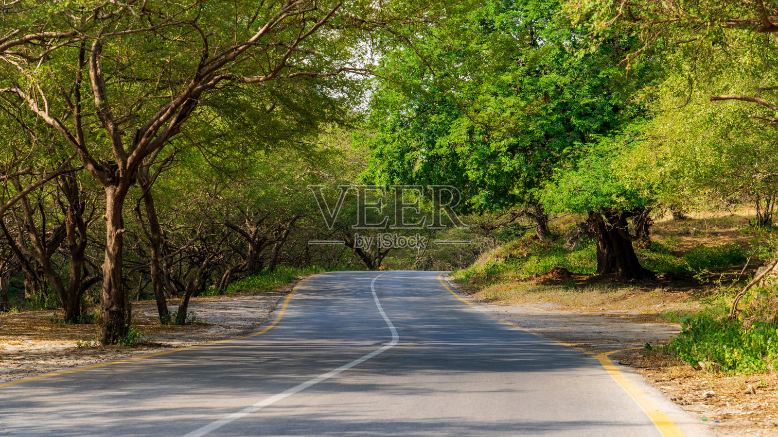 塞拉莱自然风光公路照片摄影图片