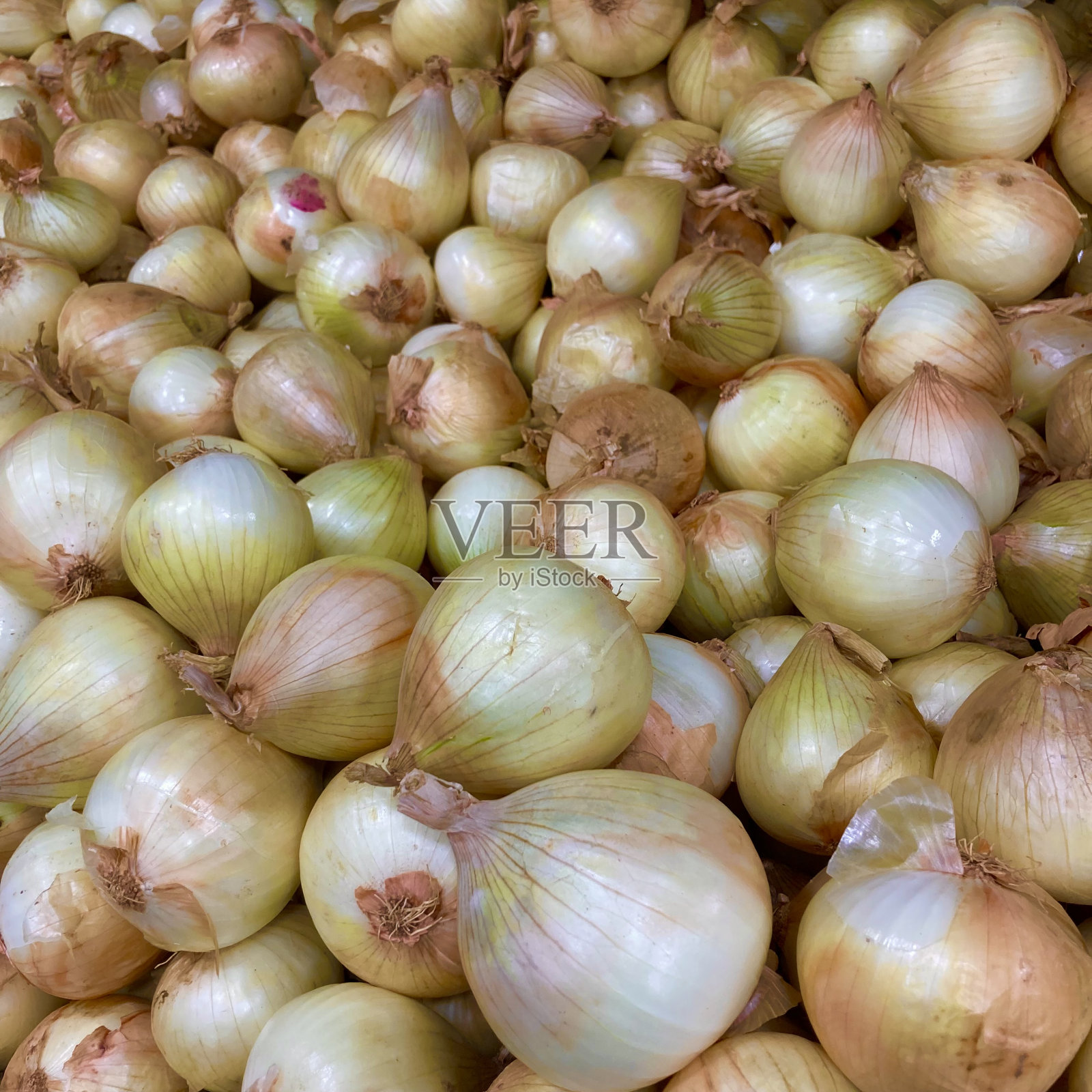 超市里出售的白洋葱照片摄影图片