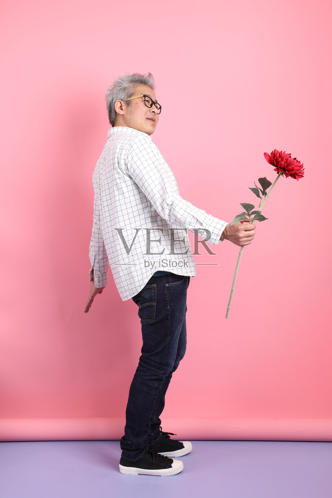 情人节照片摄影图片