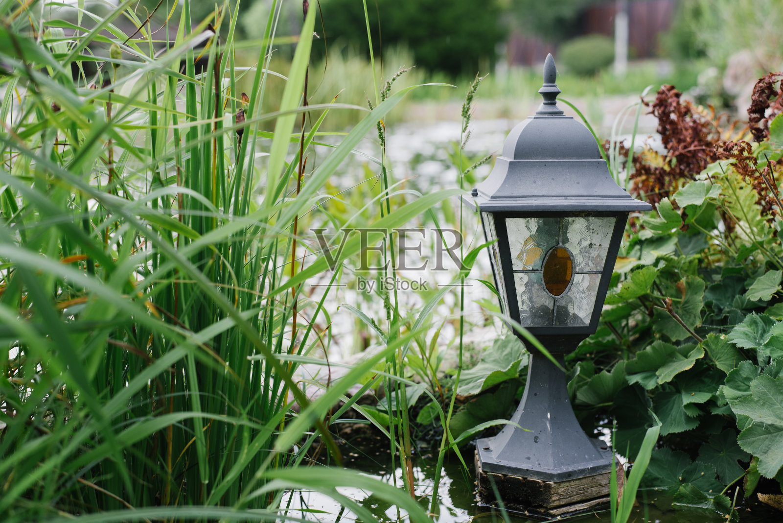 池塘上漂亮的黑灯笼。时尚景观设计照片摄影图片