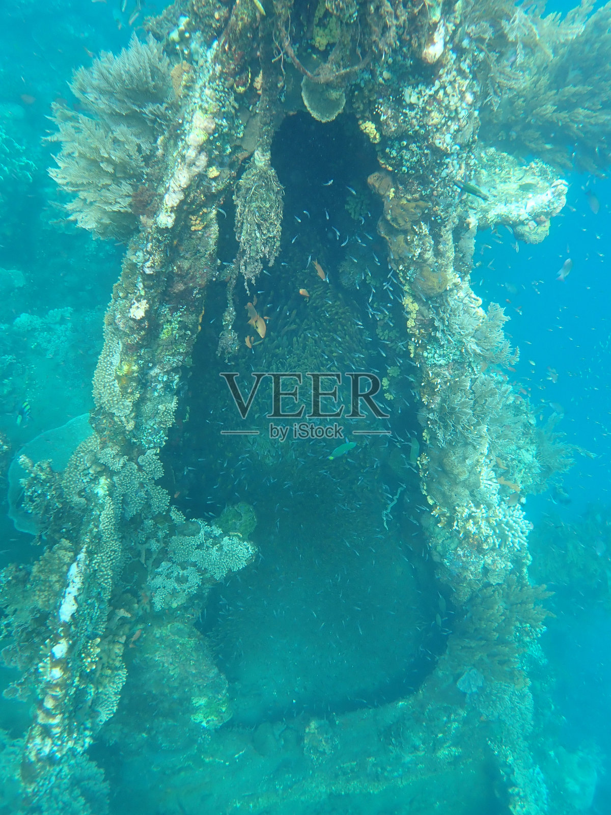 巴厘岛的日本沉船点照片摄影图片