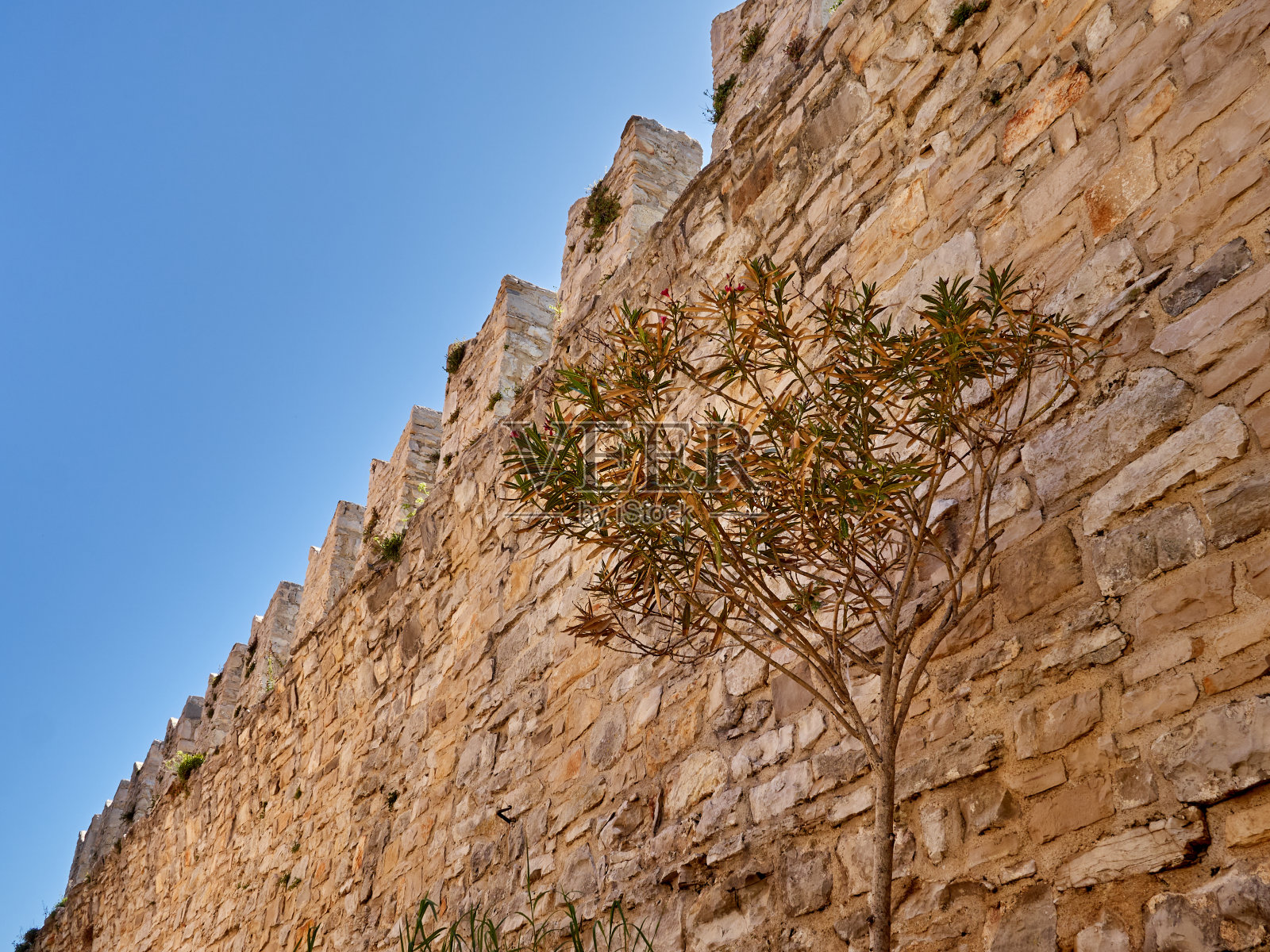 诺维格勒城墙。克罗地亚,欧洲照片摄影图片