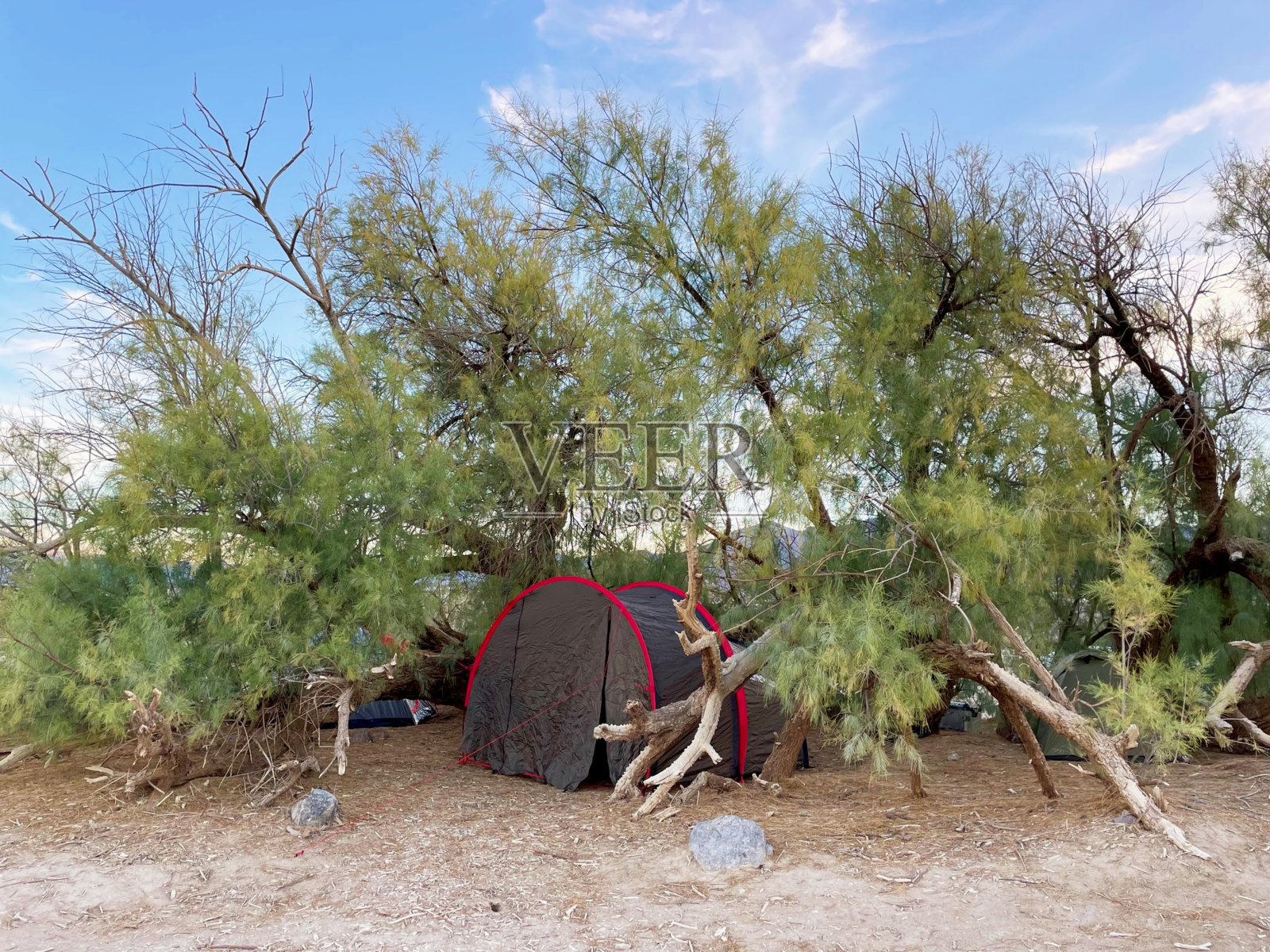 在树间的遮蔽处搭帐篷照片摄影图片