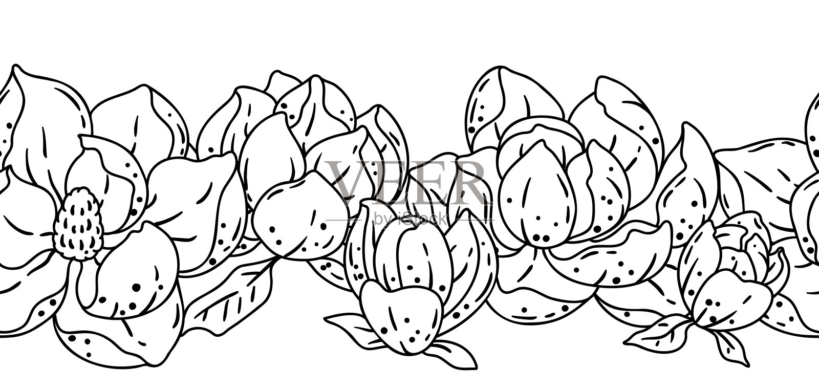 玉兰花图案。美丽的装饰植物。插画图片素材