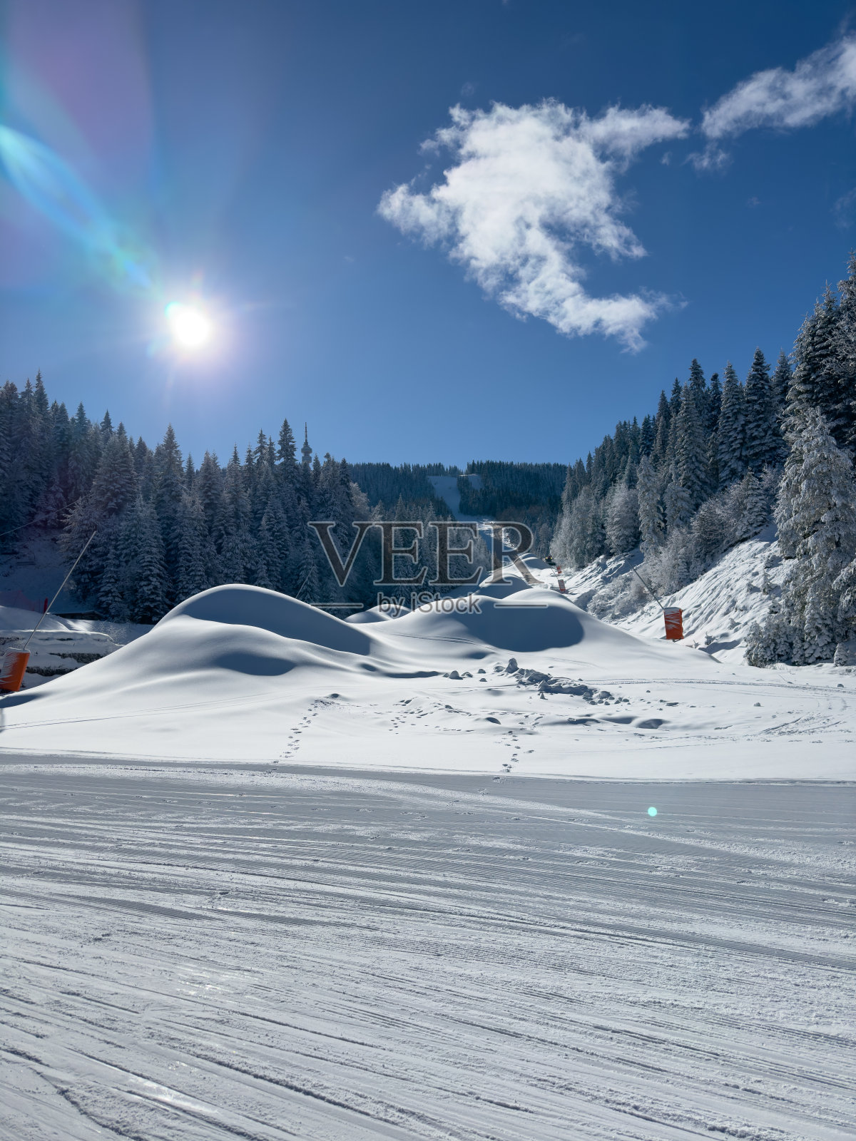 滑雪场和松林在美丽的蓝天和阳光的背景照片摄影图片