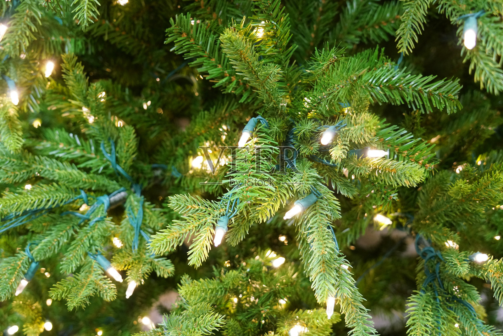 用灯光接近圣诞树照片摄影图片