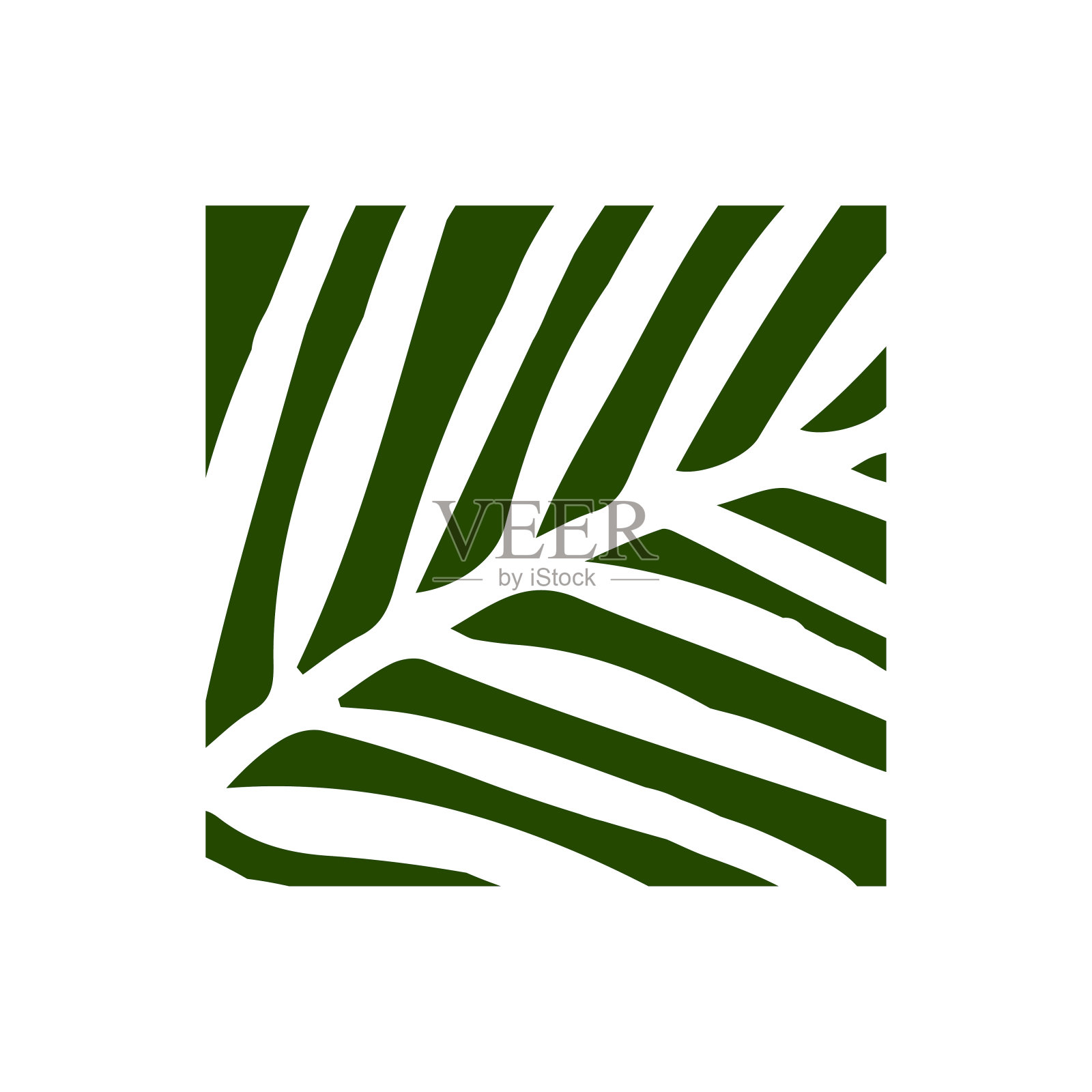 方形椰子树椰枣树叶自然花园插图设计向量插画图片素材