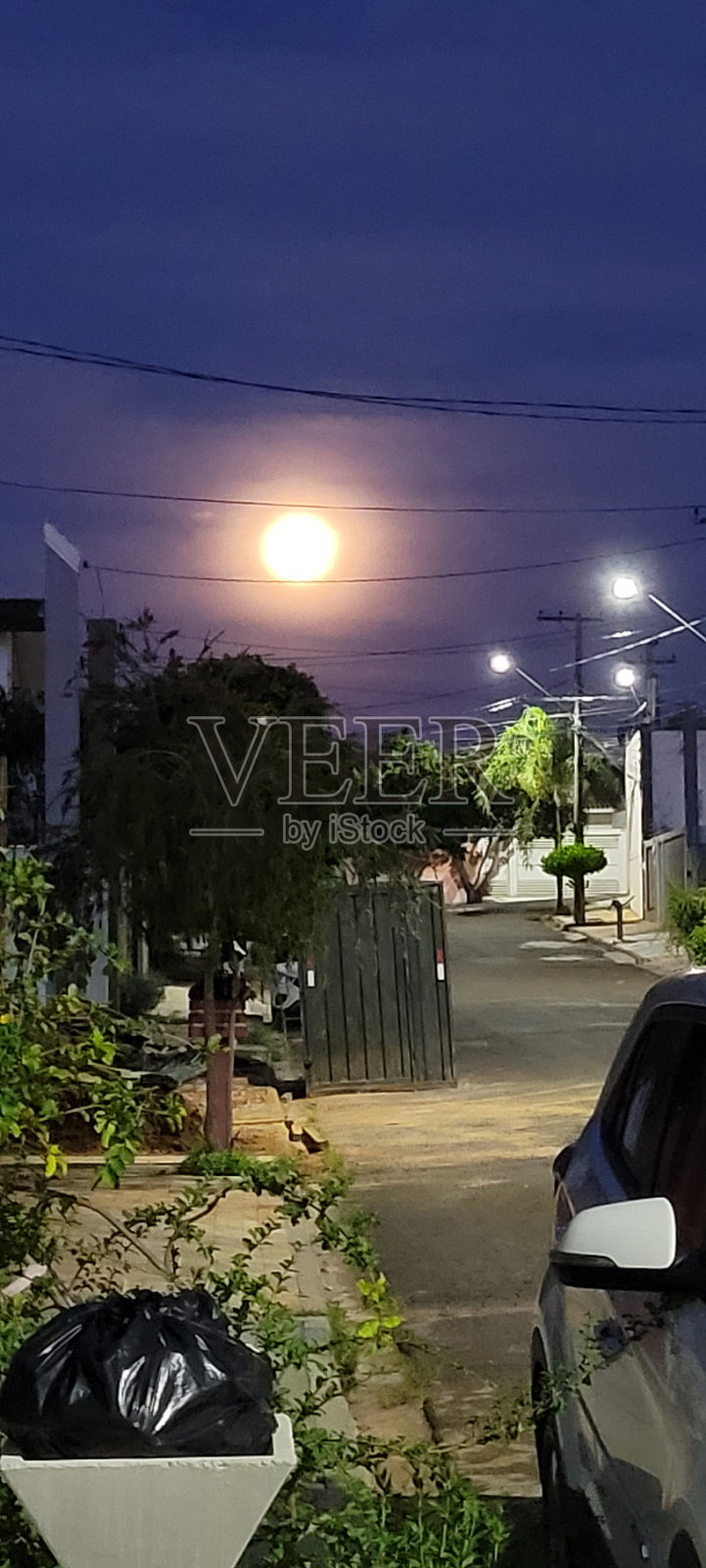 满月照片摄影图片