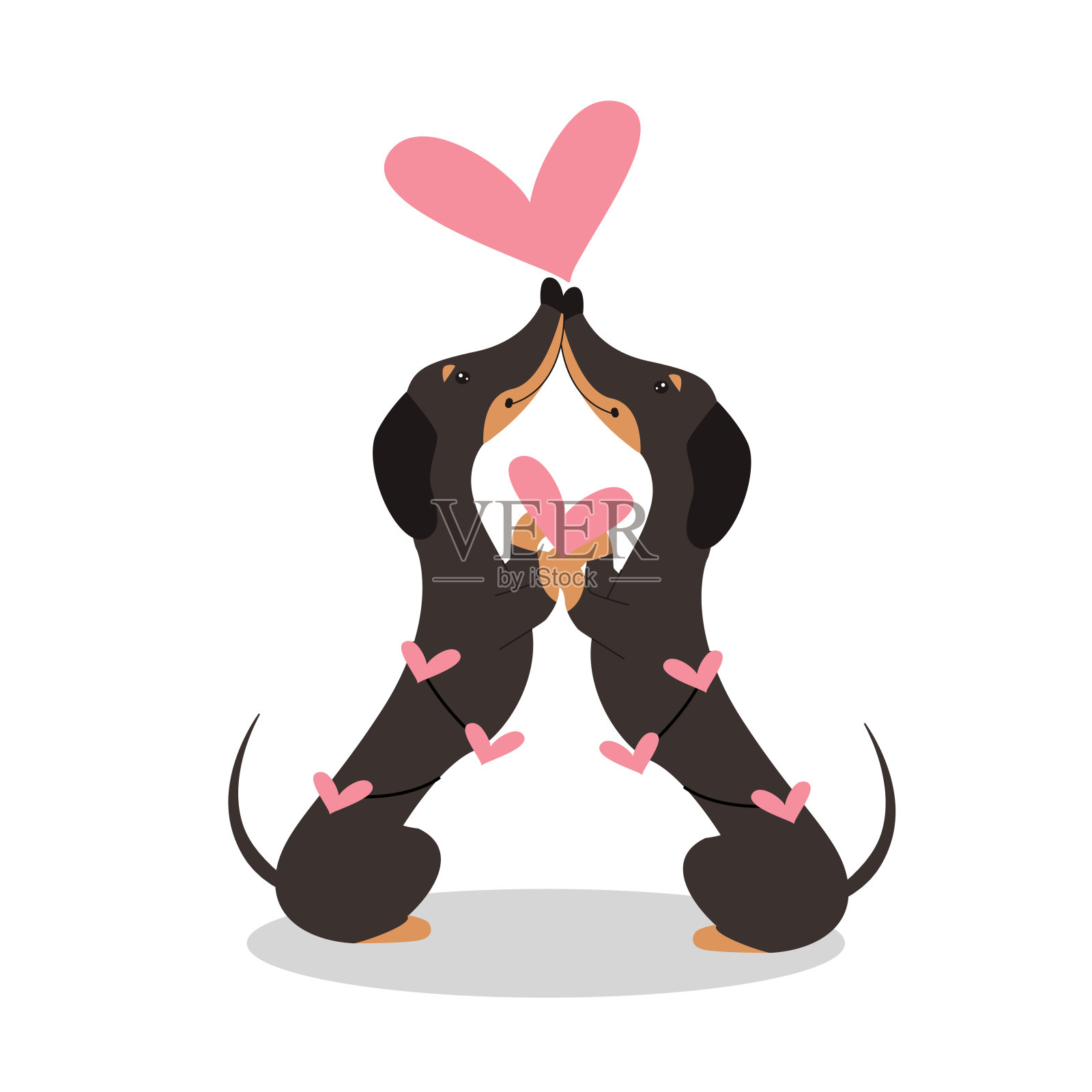 两只腊肠狗拿着白色背景上的一颗心。矢量插图。情人节卡片插画图片素材