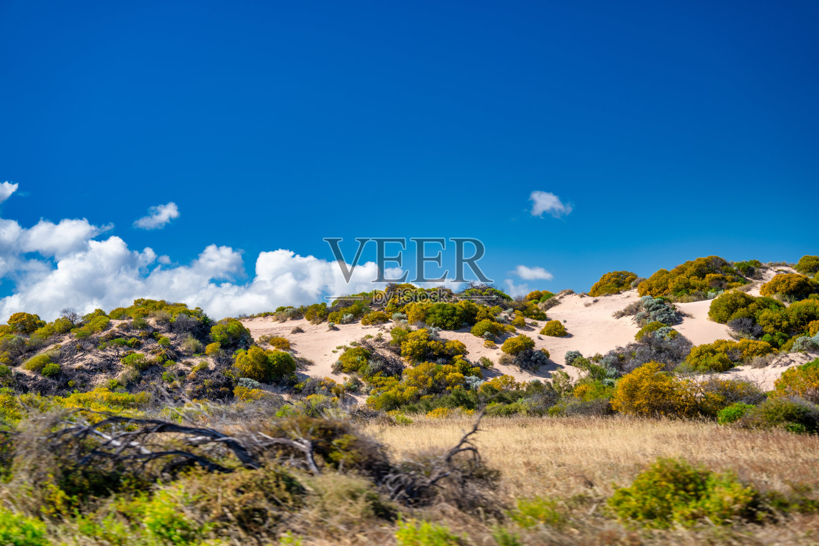 西澳大利亚兰斯林的沙丘照片摄影图片