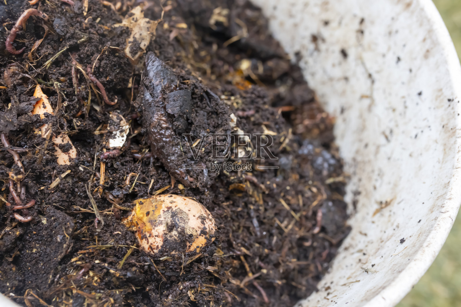 堆肥蠕虫照片摄影图片
