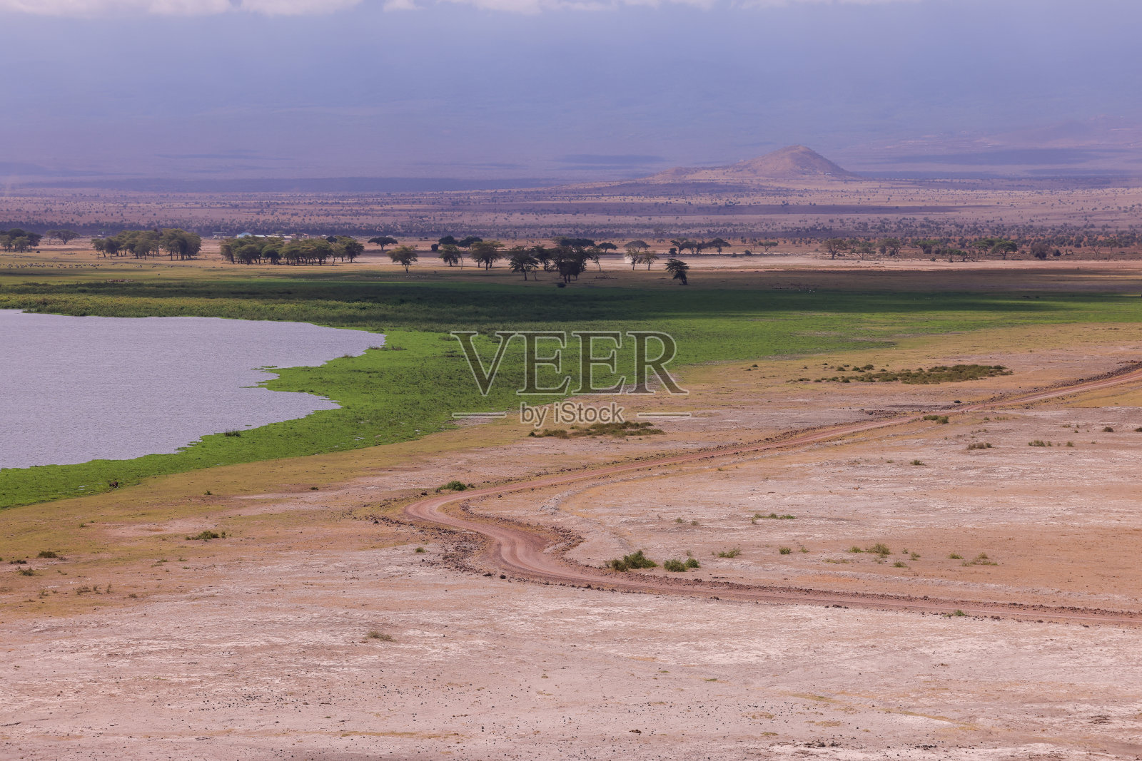 安博塞利NP景观中的粉尘道路照片摄影图片