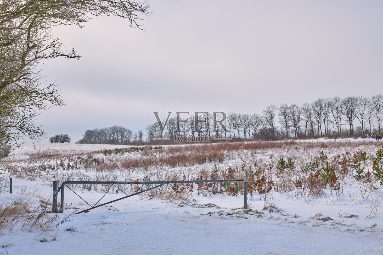 冬天的风景照片摄影图片