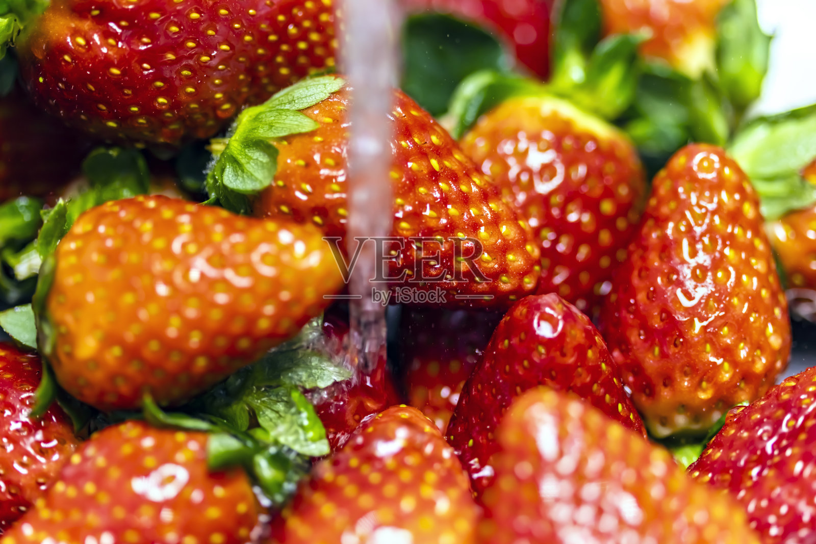 新鲜的草莓照片摄影图片