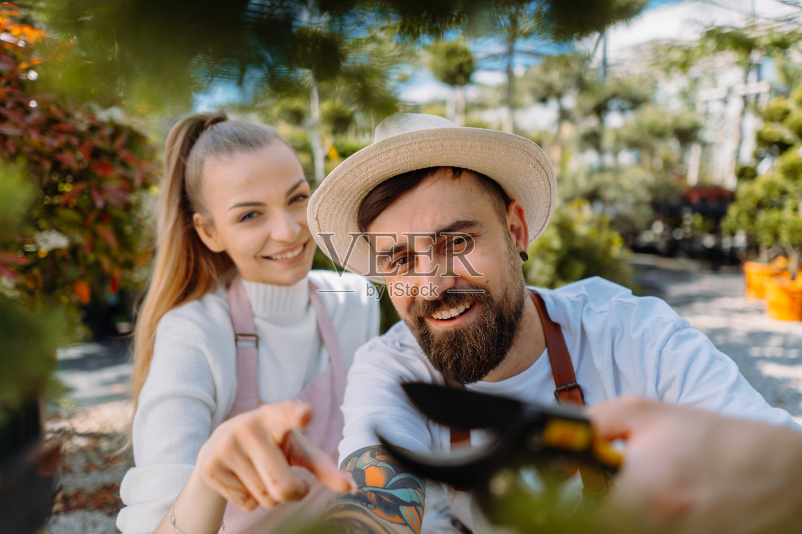 一对穿着围裙照顾植物的年轻园丁夫妇。从植物的角度来看照片摄影图片