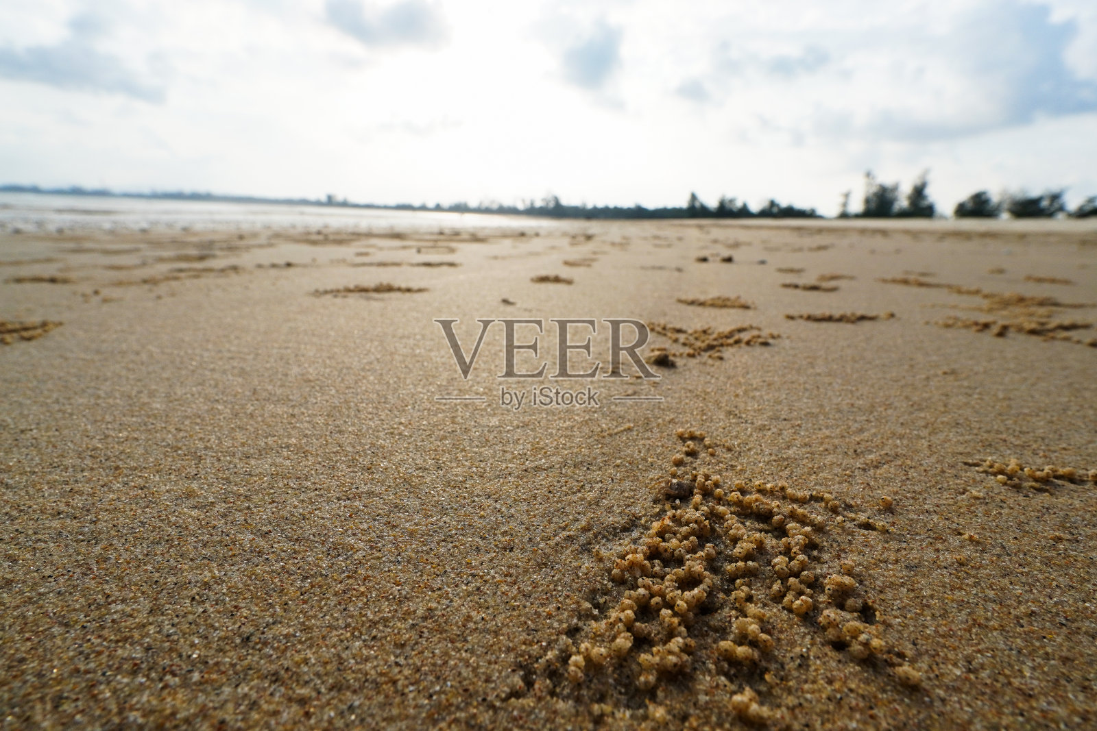 沙滩的景观景观照片摄影图片