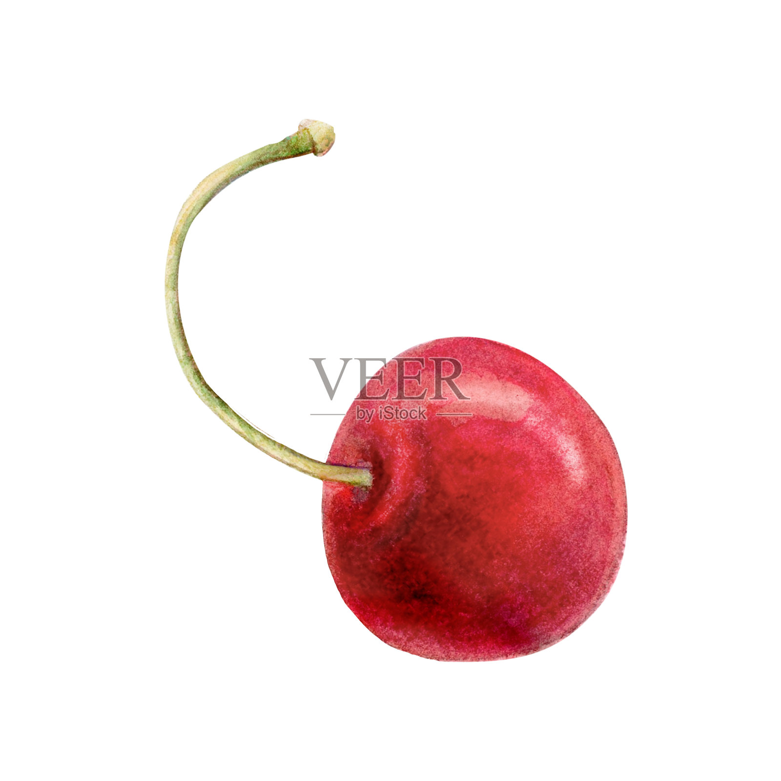 樱桃水彩画插图。红莓多汁鸡尾酒。绿枝果,淡色小枝插画图片素材