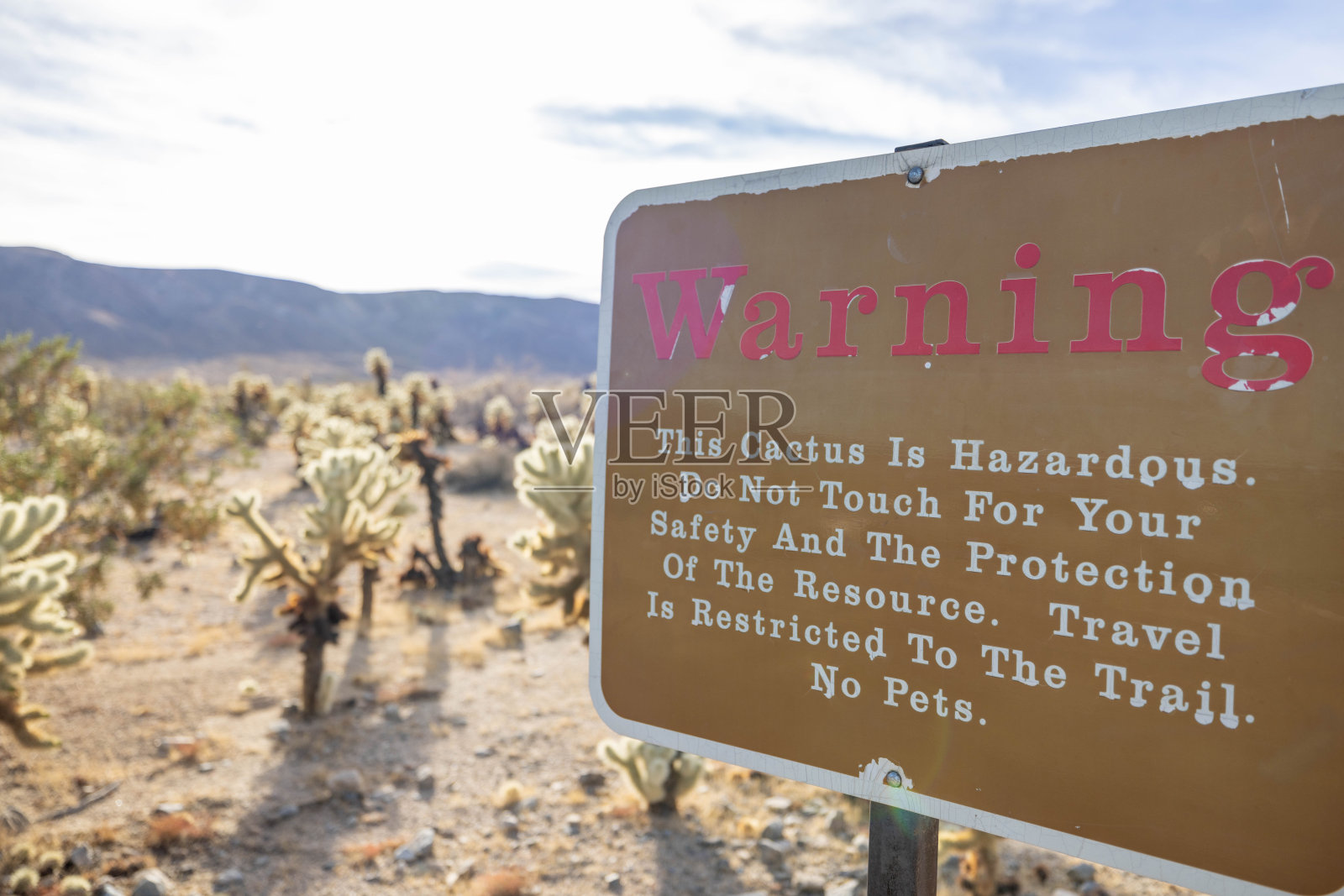 前方警告:小心进入-仙人掌花园警告标志照片摄影图片