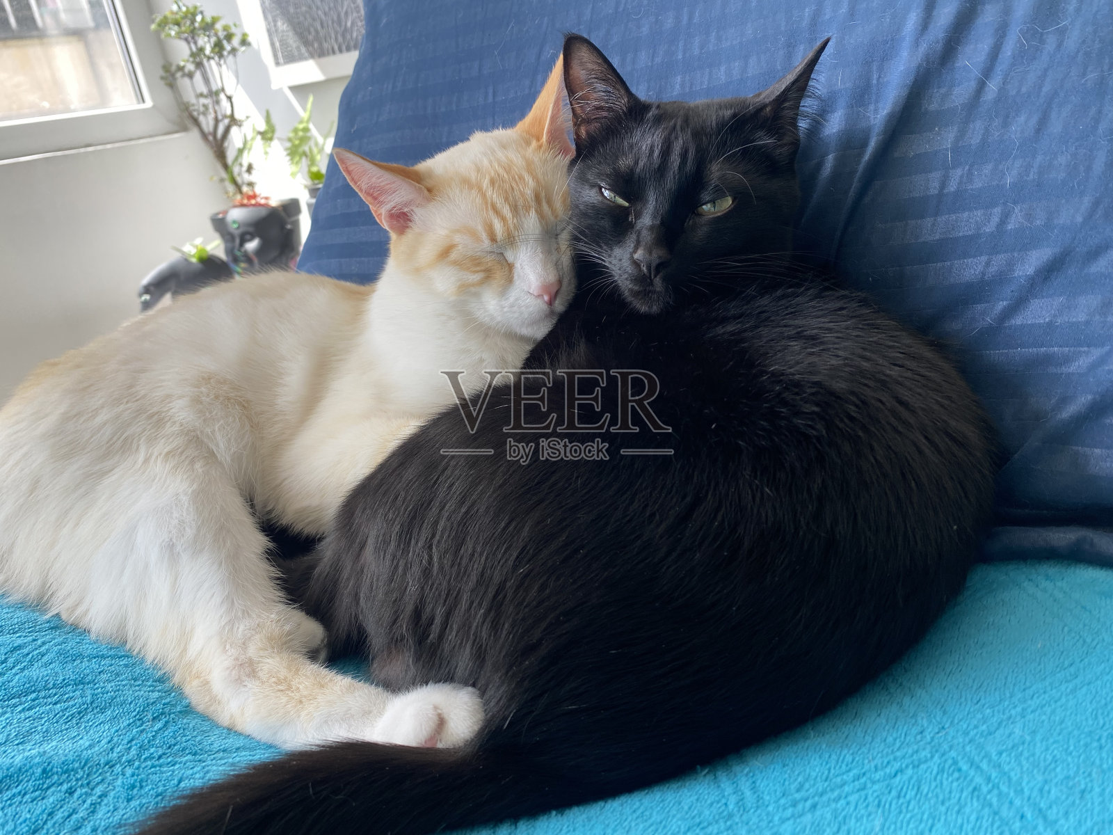 有孩子照片摄影图片