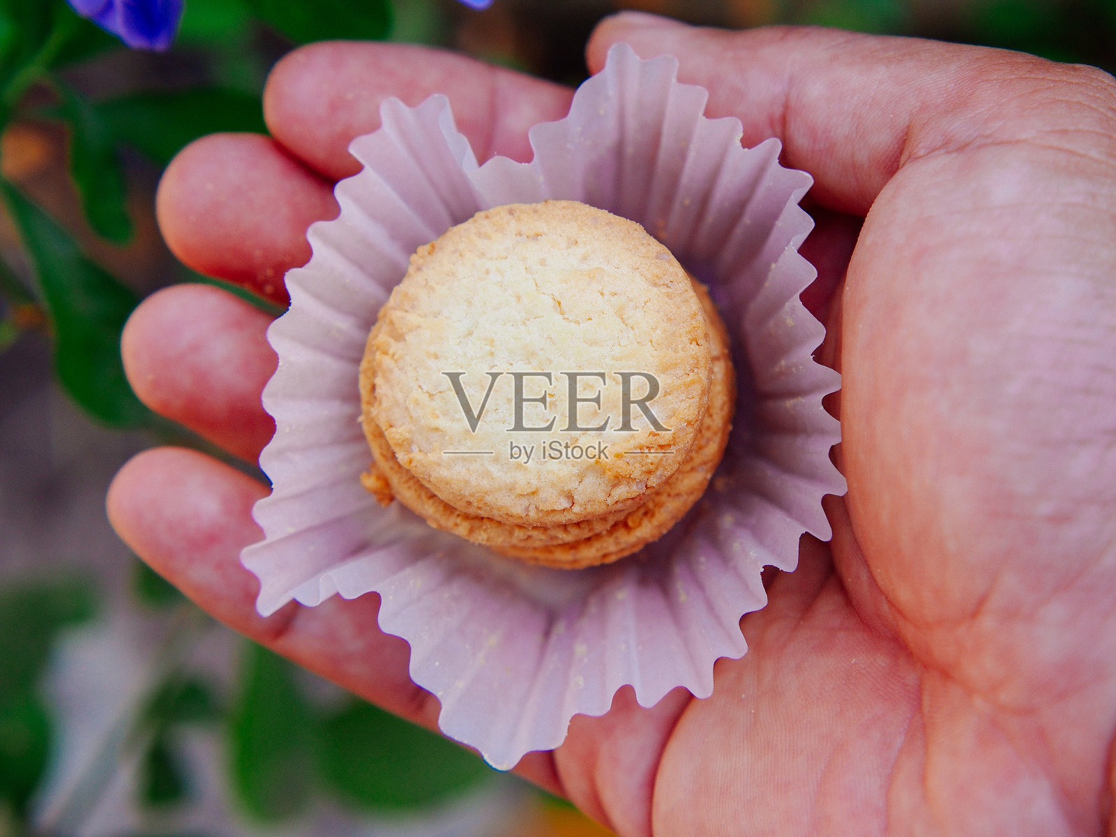 奶油曲奇照片摄影图片