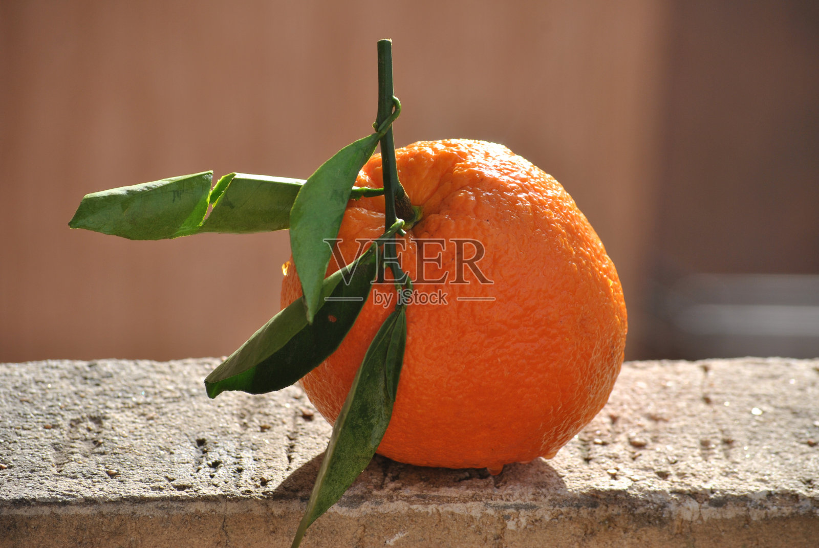 橙色照片摄影图片